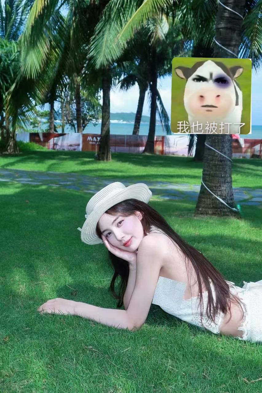 动力煤